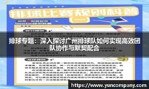 排球专题：深入探讨广州排球队如何实现高效团队协作与默契配合