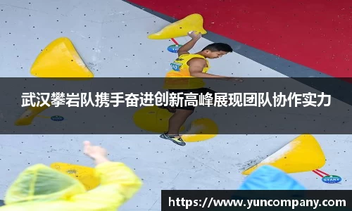 武汉攀岩队携手奋进创新高峰展现团队协作实力