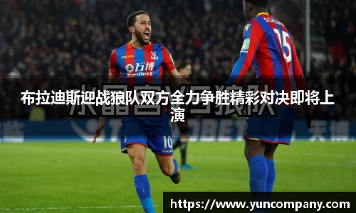 布拉迪斯迎战狼队双方全力争胜精彩对决即将上演